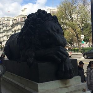 Meet your Posher, Thomas